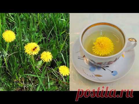 Глаза и зрение. Одуванчик - цветок 🌞 Солнца. ﻿Заготовка 🌻 цветков. 
