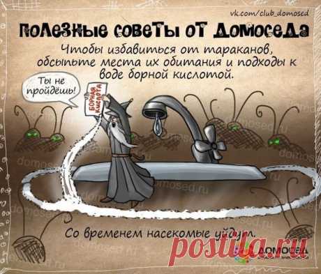 Одноклассники