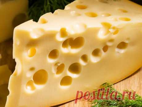 Сырная тарелка — Советы со смыслом