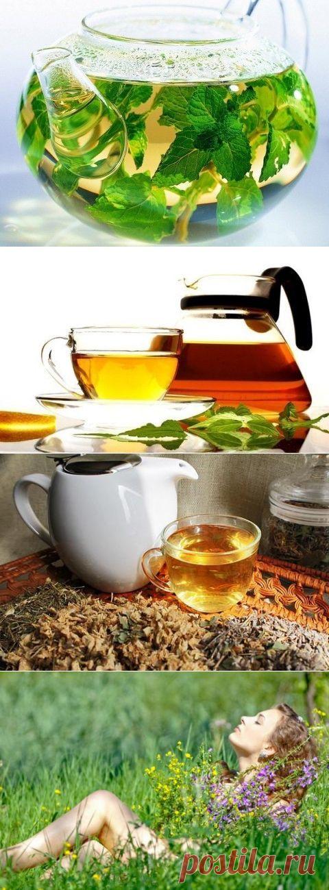 Диета на травах. Как похудеть с помощью трав. Хотите похудеть без использования лекарственных препаратов? Диета 5 трав поможет вам в этом.