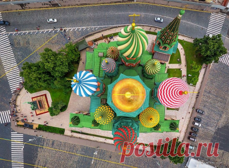 Российские фотографы показали, как птицы видят этот мир