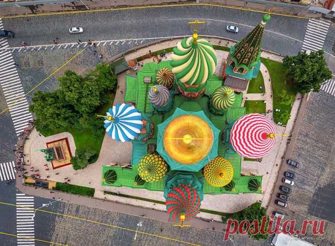 Российские фотографы показали, как птицы видят этот мир