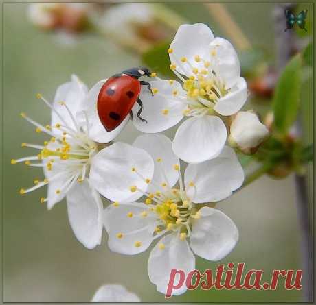 Мой Мир@Mail.Ru