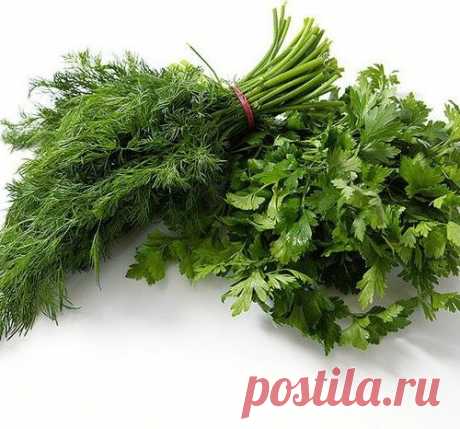 Позитивно-умилительный пост. Детки и собаки