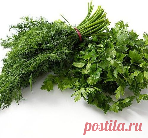 Позитивно-умилительный пост. Детки и собаки