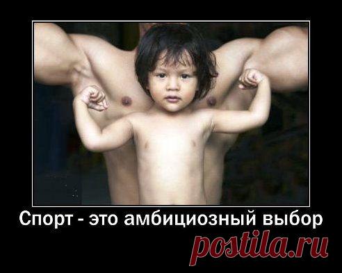 Что выбрали?