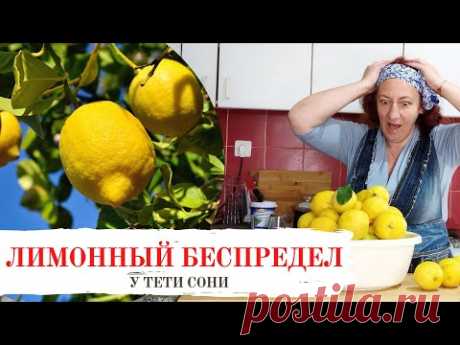 Лимонный беспредел. Часть 1. Заготовка лимонов впрок