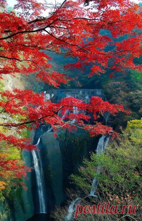 Autumn in Fukuroda Waterfall, Daigo, Ibaraki, #Japan | Igor Mamantov приколол(а) это к доске Japan
