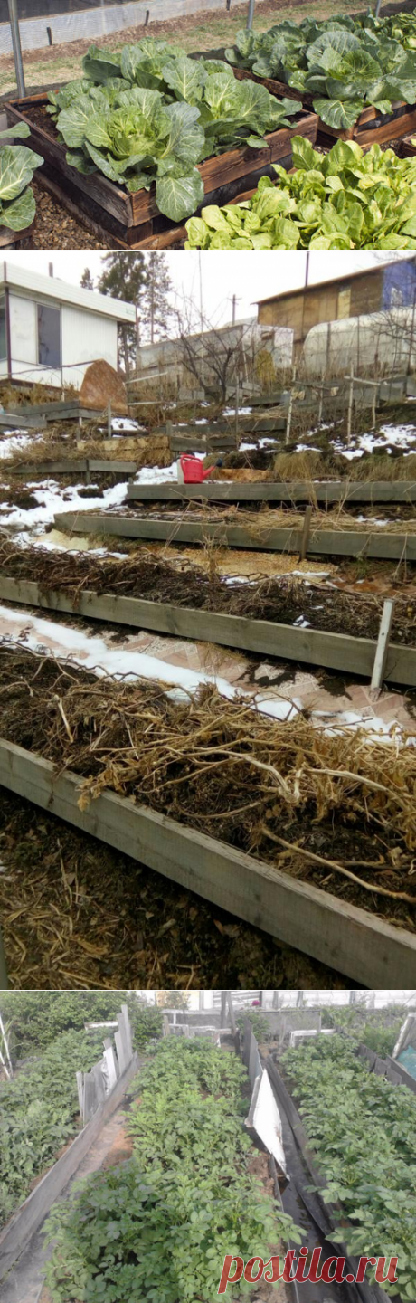 Поднятая грядка своими руками: полезные советы и подробная фотоинструкция
