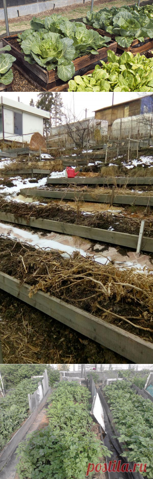 Поднятая грядка своими руками: полезные советы и подробная фотоинструкция