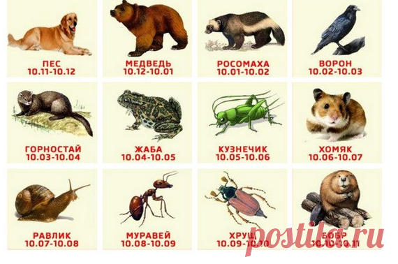 гороскоп