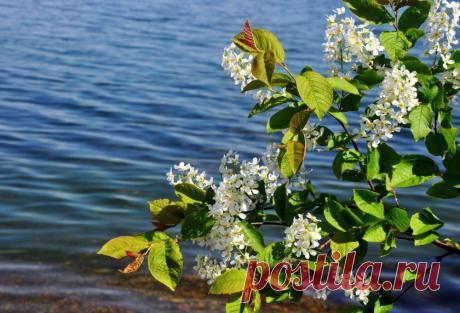 Просыпается жизнь...