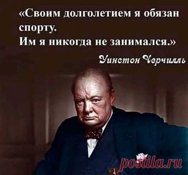 Юмор выходного дня – Блог. Run, пользователь Марина Николаева | Группы Мой Мир