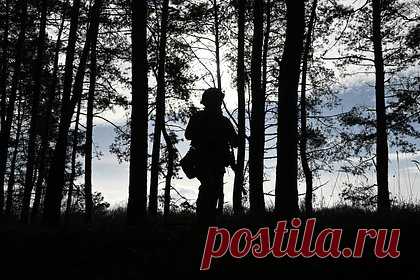 Рассуждавшая об отправке мужа на СВО «черная вдова» прокомментировала ситуацию