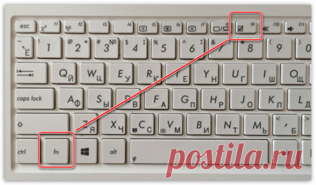 Не работает мышь на ноутбуке: основные причины возникновения неполадки