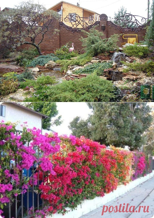 Цветы на даче, идеи | 6 соток