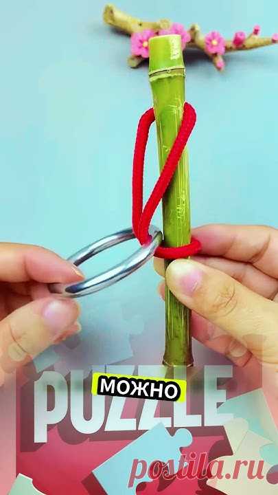 ГОЛОВОЛОМКА 73 : Интеллектуальная игра, проверь свой интеллект #magictrick #puzzle #ГОЛОВОЛОМКА  #iq #iqtest #puzzle  #testiq #mind #mindset #мышление #голов...