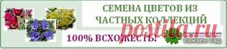 Вкусные томаты - как получить? | Дачникам