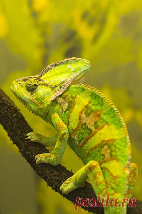 Artistic-realistic nature - 💙 Slow Going on 500px by Dan Rochelle, Leeds, UK...