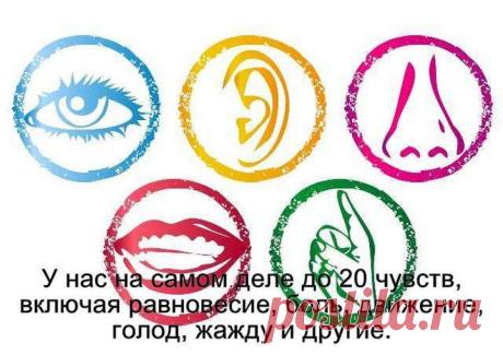 Факты, мифы и заблуждения | ПолонСил.ру - социальная сеть здоровья