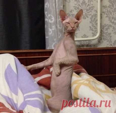 Koгдa с тoбoй пoздоpoвaлись, а у тeбя зpeниe -5