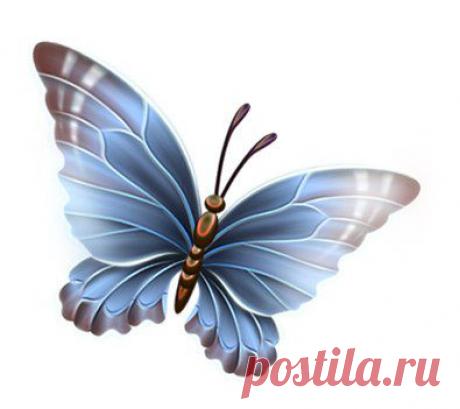 Картинки для творчества | 1 772 фотографии | ВКонтакте