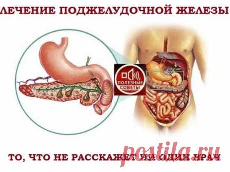 (51) Одноклассники