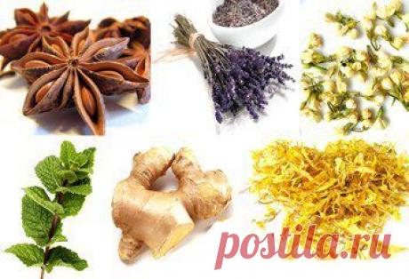 Женские посиделки - дети, рецепты, красота...))) | ВКонтакте