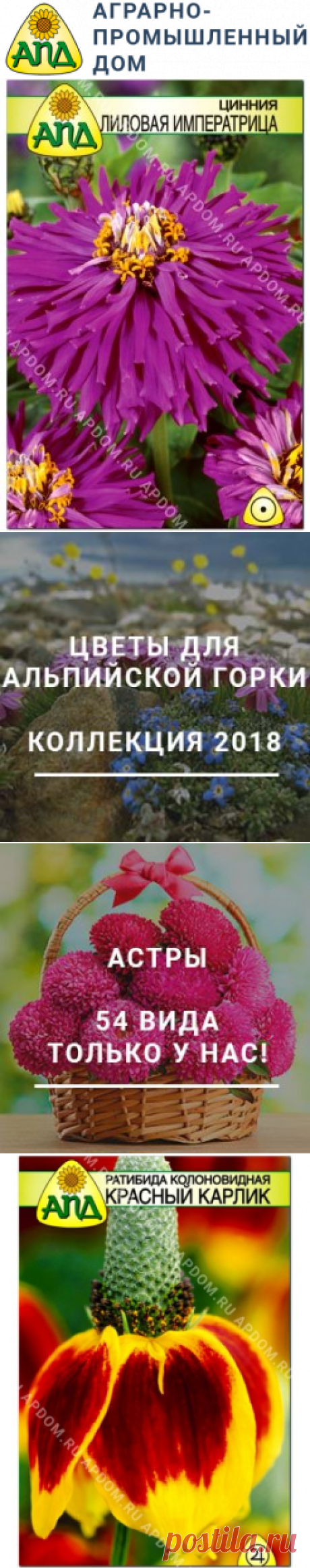 Купить семена ратибиды в интернет-магазине почтой России с доставкой.