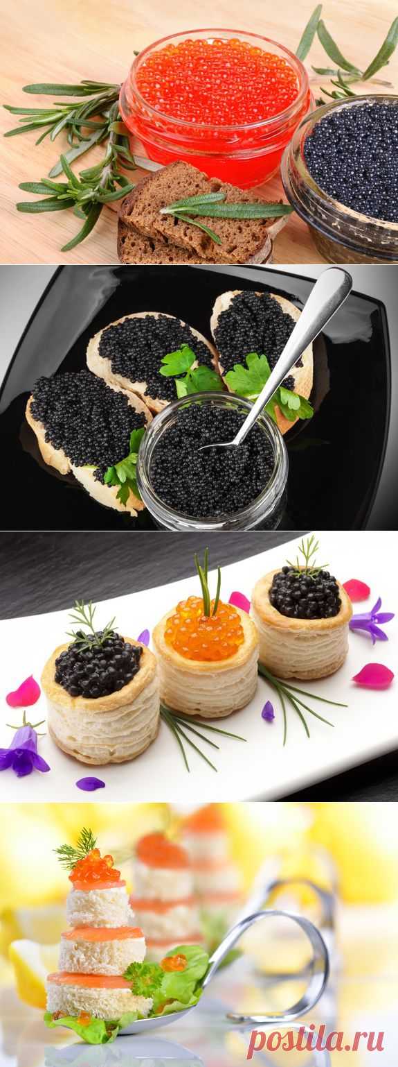 Красное и черное: игра вкусов, кулинарный портал «Едим дома!»