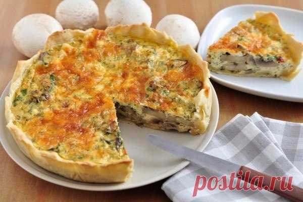 Грибной пирог-жульен 

Вкусный, грибной, пирог, в котором мало теста и много начинки. Грибы можно использовать любые, но лесные – предпочтительнее. 

ИНГРЕДИЕНТЫ: 
Показать полностью…