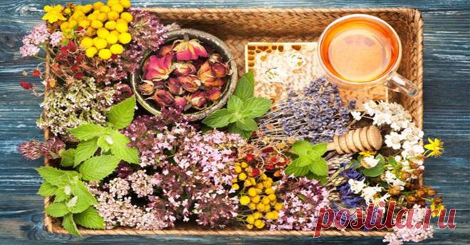 4 Натуральных Способа Предотвращения Приступов Астмы!