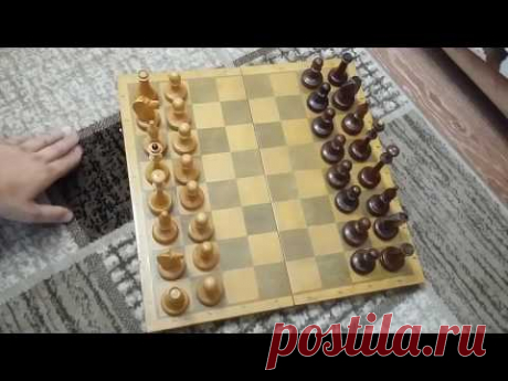 Шахматы для начинающих. Шахматные фигуры. Урок 1. Chess for beginners. Lesson 1.