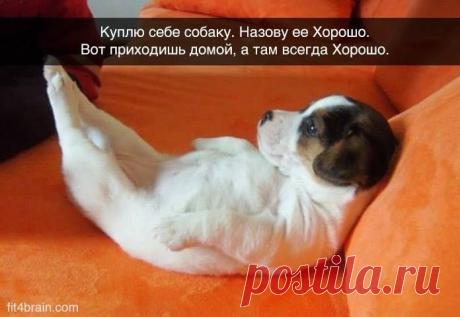 Фото Хроники - Фитнес для мозга