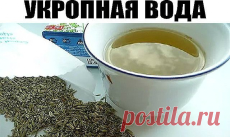2 стакана этого питья в день помогут похудеть и снизить сахар в крови! Только семена и кипяток. Все знают, что младенцам назначают укропную воду для профилактики проблем с желудком и кишечником. Но, оказывается, укропная вода для взрослых не менее