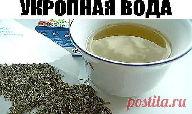 2 стакана этого питья в день помогут похудеть и снизить сахар в крови! Только семена и кипяток. Все знают, что младенцам назначают укропную воду для профилактики проблем с желудком и кишечником. Но, оказывается, укропная вода для взрослых не менее