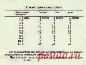 КАК СДЕЛАТЬ ТИБЕТСКУЮ ЧЕСНОЧНУЮ НАСТОЙКУ  
Тибетский рецепт для продления молодости – это истинное легендарное средство, которое пришло к нам из глубокой древности. Этот рецепт молодости придумал тибетский монах, а попал он к нам относительн…