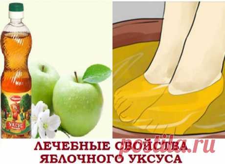 ЛЕЧЕБНЫЕ СВОЙСТВА ЯБЛОЧНОГО УКСУСА
● Являясь натуральным продуктом, яблочный уксус в народной медицине используются давно, а в последние годы еще с большим размахом. Регулярное потребление этого целебного средства поможет вам избавиться от лишних килограммов, даст запас жизненной энергии с одновременным улучшением деятельности органов пищеварительной системы.
Народная медицина рекомендует использование яблочного уксуса в качестве противовоспалительного, противогрибкового, противобактериального