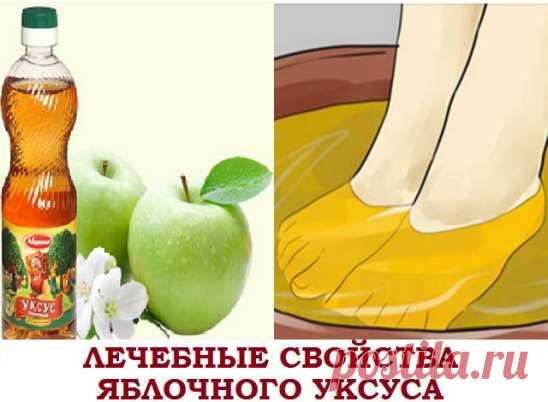 ЛЕЧЕБНЫЕ СВОЙСТВА ЯБЛОЧНОГО УКСУСА
● Являясь натуральным продуктом, яблочный уксус в народной медицине используются давно, а в последние годы еще с большим размахом. Регулярное потребление этого целебного средства поможет вам избавиться от лишних килограммов, даст запас жизненной энергии с одновременным улучшением деятельности органов пищеварительной системы.
Народная медицина рекомендует использование яблочного уксуса в качестве противовоспалительного, противогрибкового, противобактериального