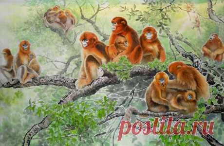 Корейская анималистика