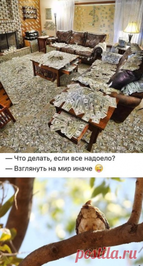 Одноклассники