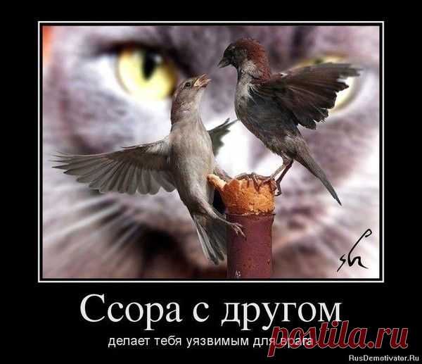 Народов это особо касается!