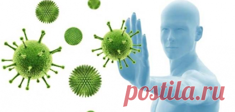 Видео. Иммунитет. | PortalBio