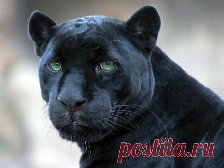 Фотографии на стене сообщества | 19 484 фотографии