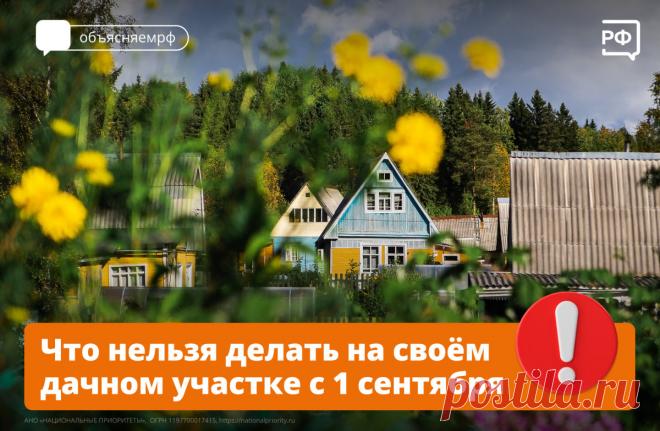 Никаких больше вечеринок!
С 1 сентября 2025 года вступают в силу поправки к закону
, которые полностью запрещают любой бизнес на дачных участках. Цель — вернуть СНТ спокойствие и тишину, защитив владельцев от шумных «клубов» по соседству и бесконечного потока машин к мини-отелям.
Что нельзя делать на даче:
— открывать коммерческие объекты: платные бани и сауны, хостелы, кафе, магазины, автомастерские, спортзалы, а также животноводческие фермы и питомники;
— оказывать платн...
