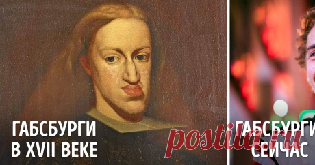 Как сейчас живут потомки известных династий, которые когда-то вершили судьбы этого мира В современной Европе осталось всего 12 стран, где правят монархи. Многие династии были свергнуты после революций, многие не имеют реальной власти. Но, несмотря на все события, и по сей день сохранились монаршие дома, титулы и претенденты на престол — даже на несуществующий. И пока одни потомки древних династий ждут своей очереди править страной, другие занимаются автогонками, пишут песн...