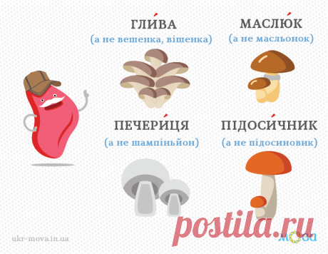 Гриби українською мовою Шампіньйони, вішенки українською