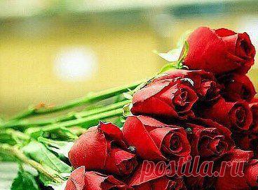 (1) Одноклассники