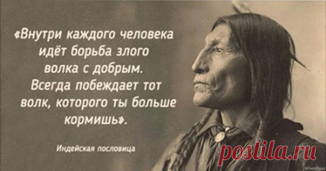 26 мудрых пословиц индейского народа