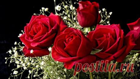 РОЗА СТРАСТНОСТИ ЭМБЛЕМА, А СТРАСТНОСТЬ - ДЕТИЩЕ ЗЕМЛИ....